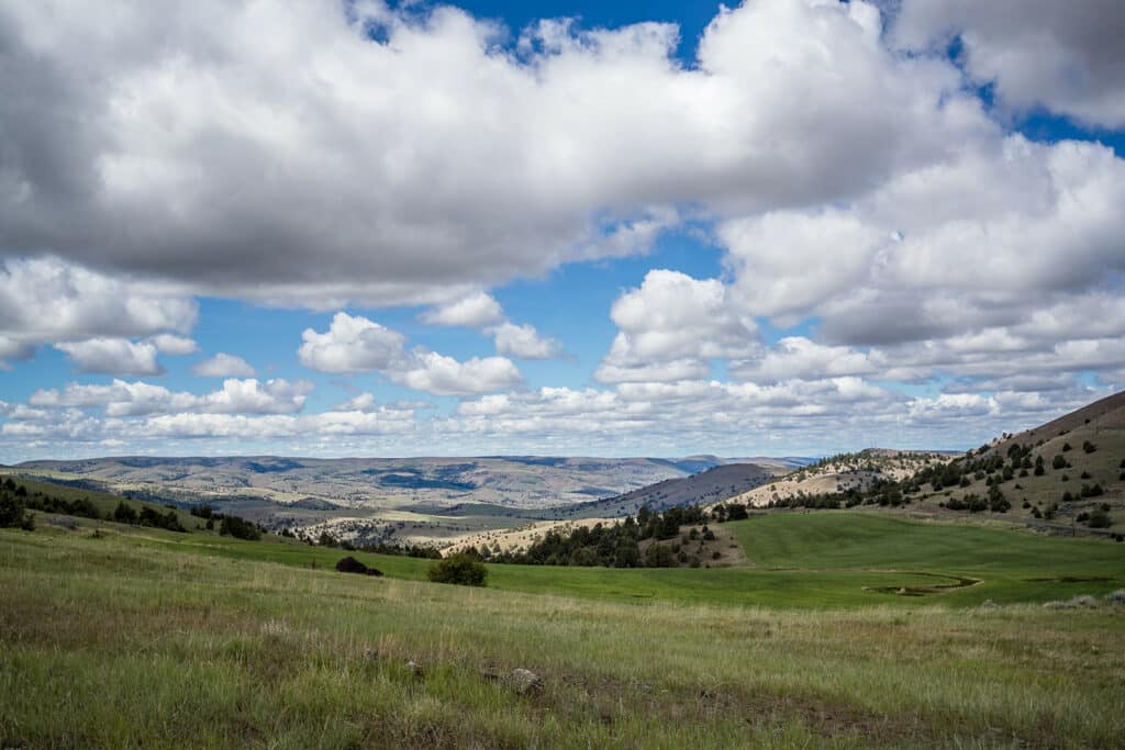 painted hills scenery